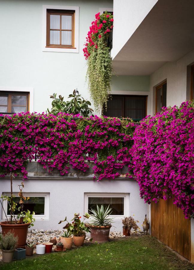 Weingut und Gästehaus Salzl Illmitz Exterior foto